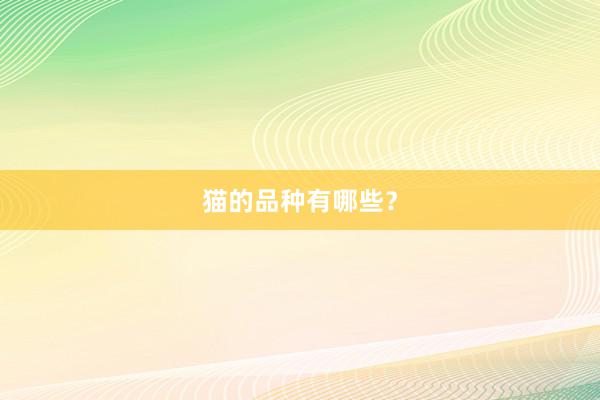 猫的品种有哪些？